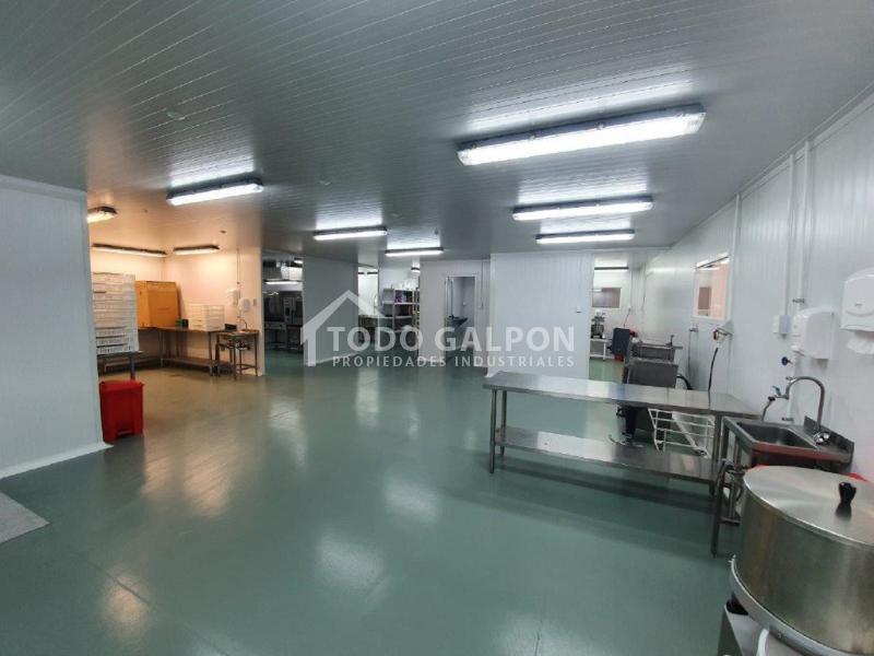 Venta de Galpón Industrial - Semiindustrial ( Mixta ) - El Trebol - Padre Hurtado.
